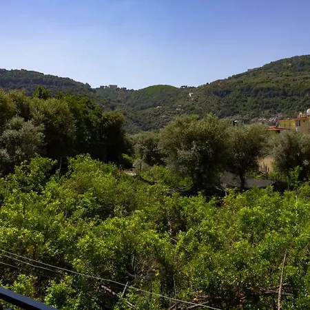 Flower's Casa de Férias *