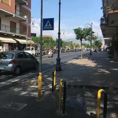 Flower's סורנטו